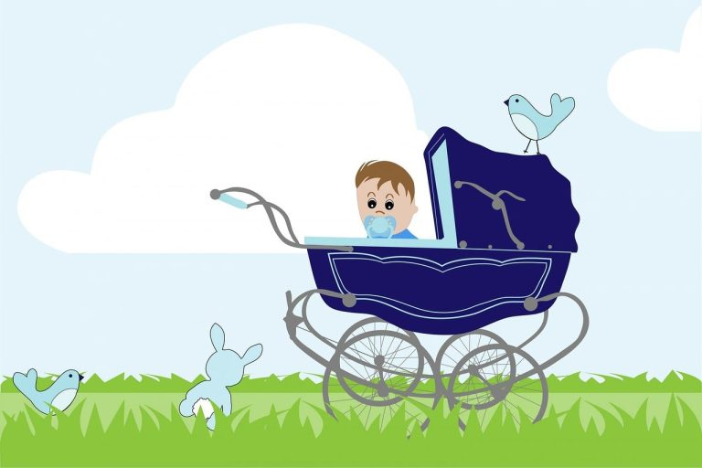 Carrinhos de Bebê Conheça Boas Opções